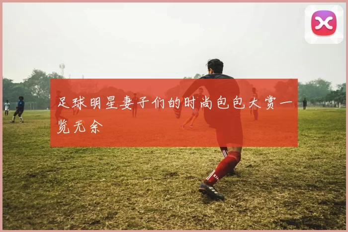 足球明星妻子们的时尚包包大赏一览无余