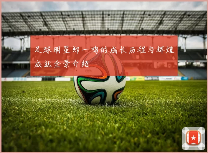 足球明星郑一鸣的成长历程与辉煌成就全景介绍