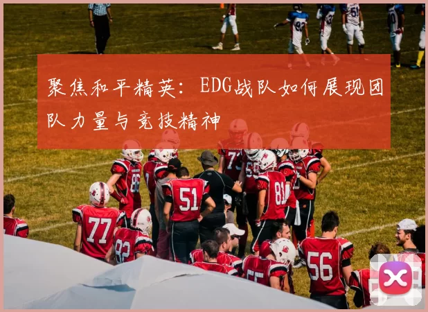 聚焦和平精英：EDG战队如何展现团队力量与竞技精神