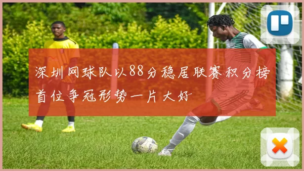 深圳网球队以88分稳居联赛积分榜首位争冠形势一片大好