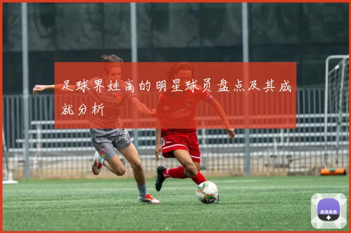 足球界姓高的明星球员盘点及其成就分析