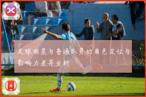 足球明星与普通队员的角色定位与影响力差异分析