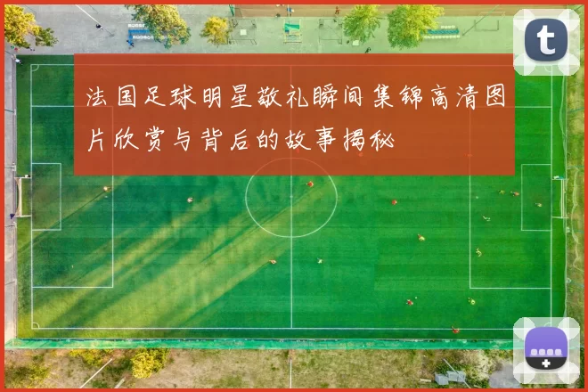 法国足球明星敬礼瞬间集锦高清图片欣赏与背后的故事揭秘