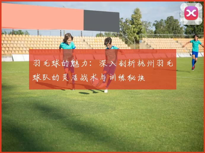 羽毛球的魅力：深入剖析杭州羽毛球队的灵活战术与训练秘诀