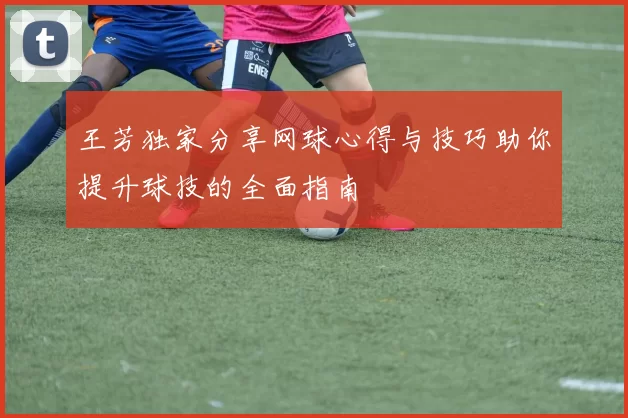 王芳独家分享网球心得与技巧助你提升球技的全面指南