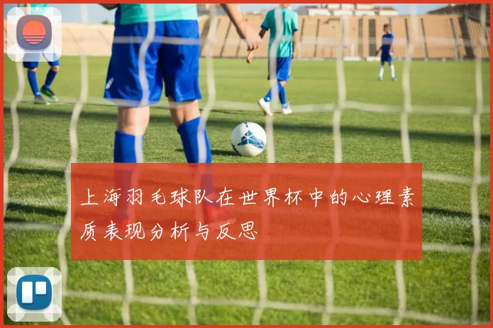 上海羽毛球队在世界杯中的心理素质表现分析与反思