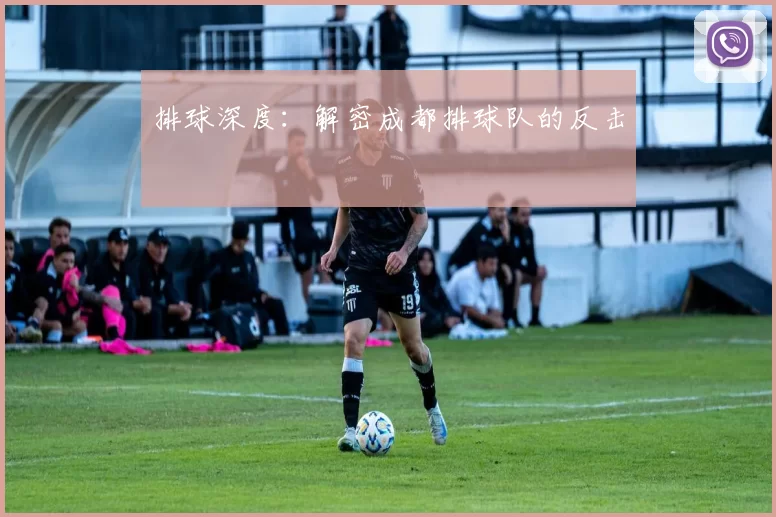 排球深度：解密成都排球队的反击
