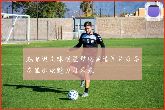 威尔逊足球明星壁纸高清图片分享尽显运动魅力与风采