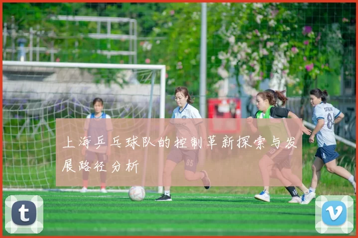 上海乒乓球队的控制革新探索与发展路径分析