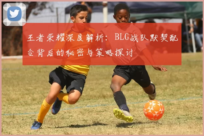 王者荣耀深度解析：BLG战队默契配合背后的秘密与策略探讨