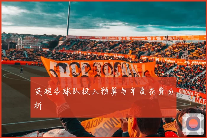 英超各球队投入预算与年度花费分析