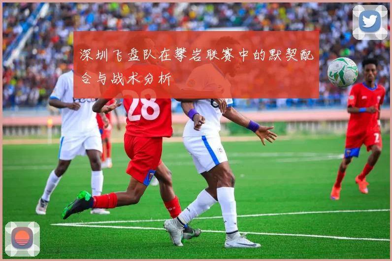 深圳飞盘队在攀岩联赛中的默契配合与战术分析