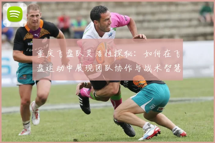 重庆飞盘队灵活性探秘：如何在飞盘运动中展现团队协作与战术智慧