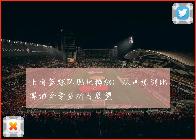 上海篮球队现状揭秘：从训练到比赛的全景分析与展望