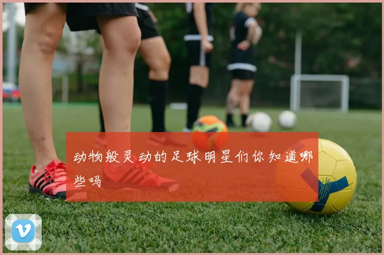 动物般灵动的足球明星们你知道哪些吗