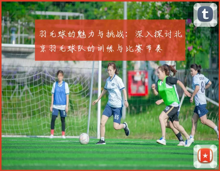 羽毛球的魅力与挑战：深入探讨北京羽毛球队的训练与比赛节奏