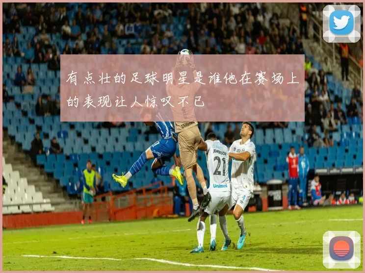 有点壮的足球明星是谁他在赛场上的表现让人惊叹不已
