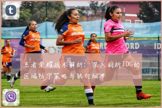 王者荣耀战术解析：深入剖析JDG的区域防守策略与执行细节