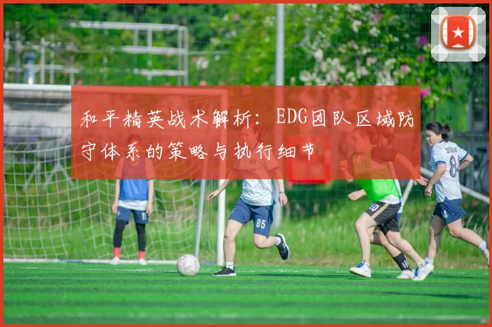 和平精英战术解析：EDG团队区域防守体系的策略与执行细节