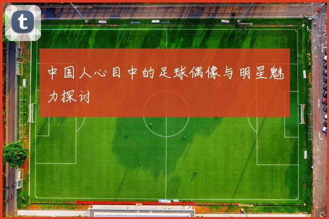 中国人心目中的足球偶像与明星魅力探讨
