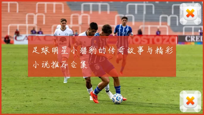 足球明星小猎豹的传奇故事与精彩小说推荐合集